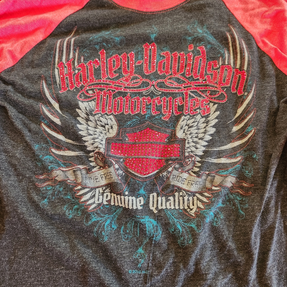 Harley-Davidson Gray and Red Graphic Tee. Worn Once. Very Cute